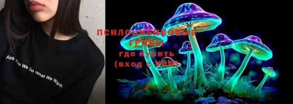 ешки Волосово