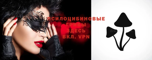 apvp Володарск